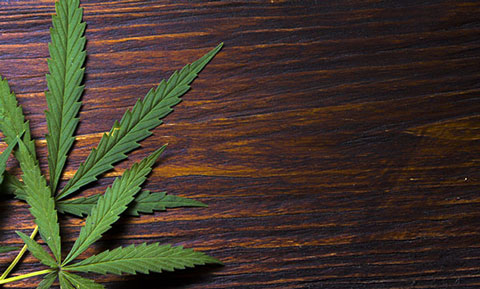 advanta-hemp